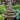 Two Tier Large Girl Holding Jug Fountain