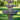 Three Tier Scallop Fountain 86 inch