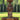 Milano Urn Lion Fountain 58 inch
