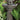 Spring Rain Pagoda Fountain 42 inch