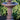 Roman Fluted Fountain 38 inch