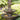 Two Tier Ldy Of The Arbor Fountain