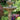 Three Tier Harvest Fountain 56 inch