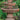 Two Tier Oval Assisi Fountain