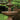 Monticello Fountain 108 inch
