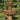 Florentine Fountain 68 inch