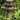 Tranquillity Spil Fountain Birds 44 inch