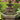 Three Tier Spade Fountain