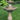 Two Tier Boca Hex Fountain
