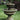 Chanticleer Fountain 71 inch