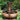 Falling Waters Fountain 27 inch