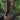 Treefall Fountain 40 inch