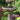 Two Tier Charlotte Fountain 46 inch