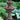Two Tier Fluted Fountain With Pineapple Finial 57 inch