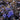 Black Scallop Ajuga - Monrovia