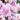 Pink Rosebay Rhododendron - Monrovia