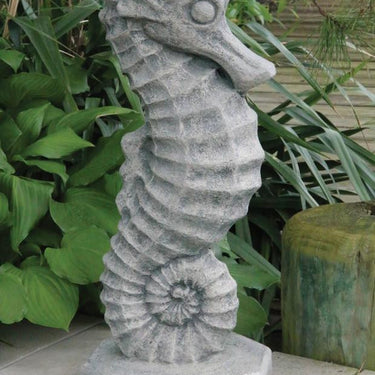 Seahorse 24 inch