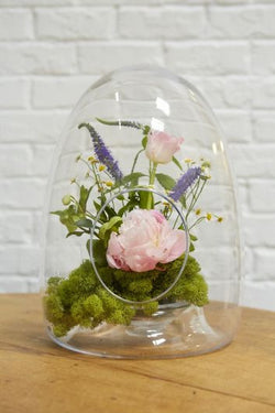 Eggy Terrarium 11"x 14.5"