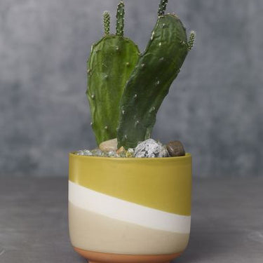 Colorway Yellow Pot 4"x 3.5"
