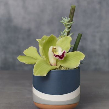 Colorway Dark-Blue Pot 4"x 3.5"
