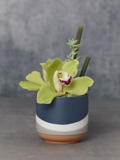 Colorway Dark-Blue Pot 4"x 3.5"