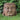 Buddha Face