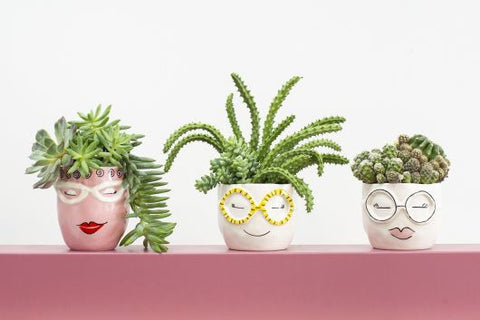 charlie plant pot Fab Pot (Charlie)