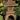 Pagoda Square 30 inch