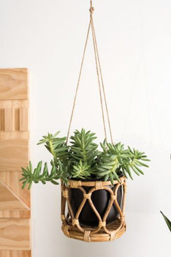 Boca Hanging Pot 8"x 32.5"