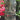 Island Tiki Face 36 inch