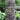Pineapple Tiki Face 36 inch