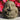 Laughing Garden Face 7 inch