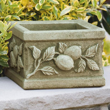 Square Limone Planter