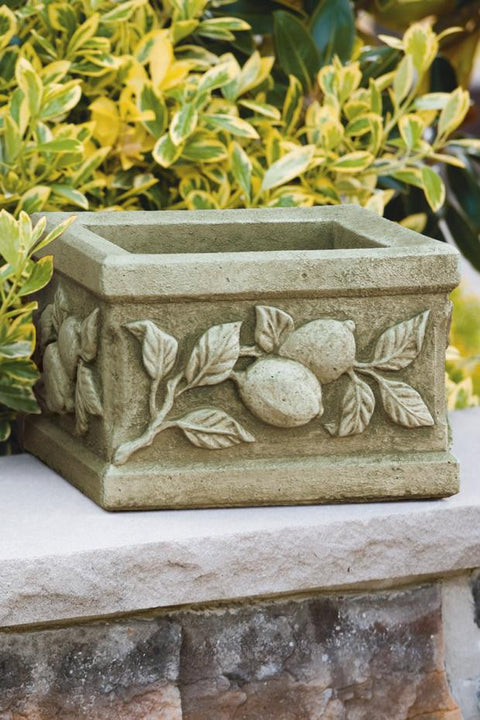 Square Limone Planter