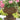 Planter Band Urn 15 inch