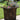 Meridian Box Planter 24 inch