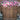 Castaway Planter Round 18 inch