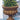 Egg and Dart Milano Urn 24 inch