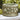Round Limone Planter