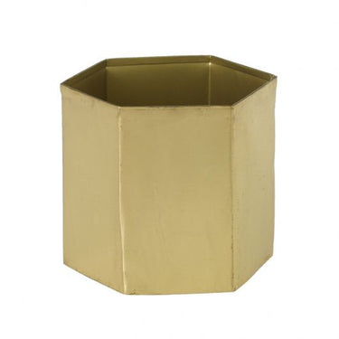 Editor Pot 4"x 4.25"
