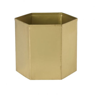 Editor Pot 5"x 5"