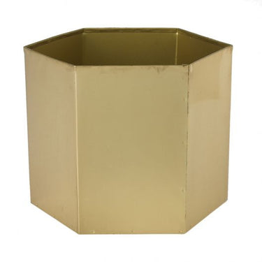 Editor Pot 6.75"x 6"