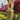 Eternal Garden Loop