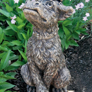 Sterlingwoods Frog