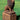 Grandessa Pedestal 16 inch