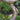 Woodscape Birdbath
