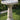 Wild Flower Birdbath