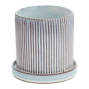 Curio Off-White Pot 5.75"x5.5"