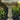 Scroll Birdbath with Tulip Top