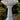 Flower Top Birdbath